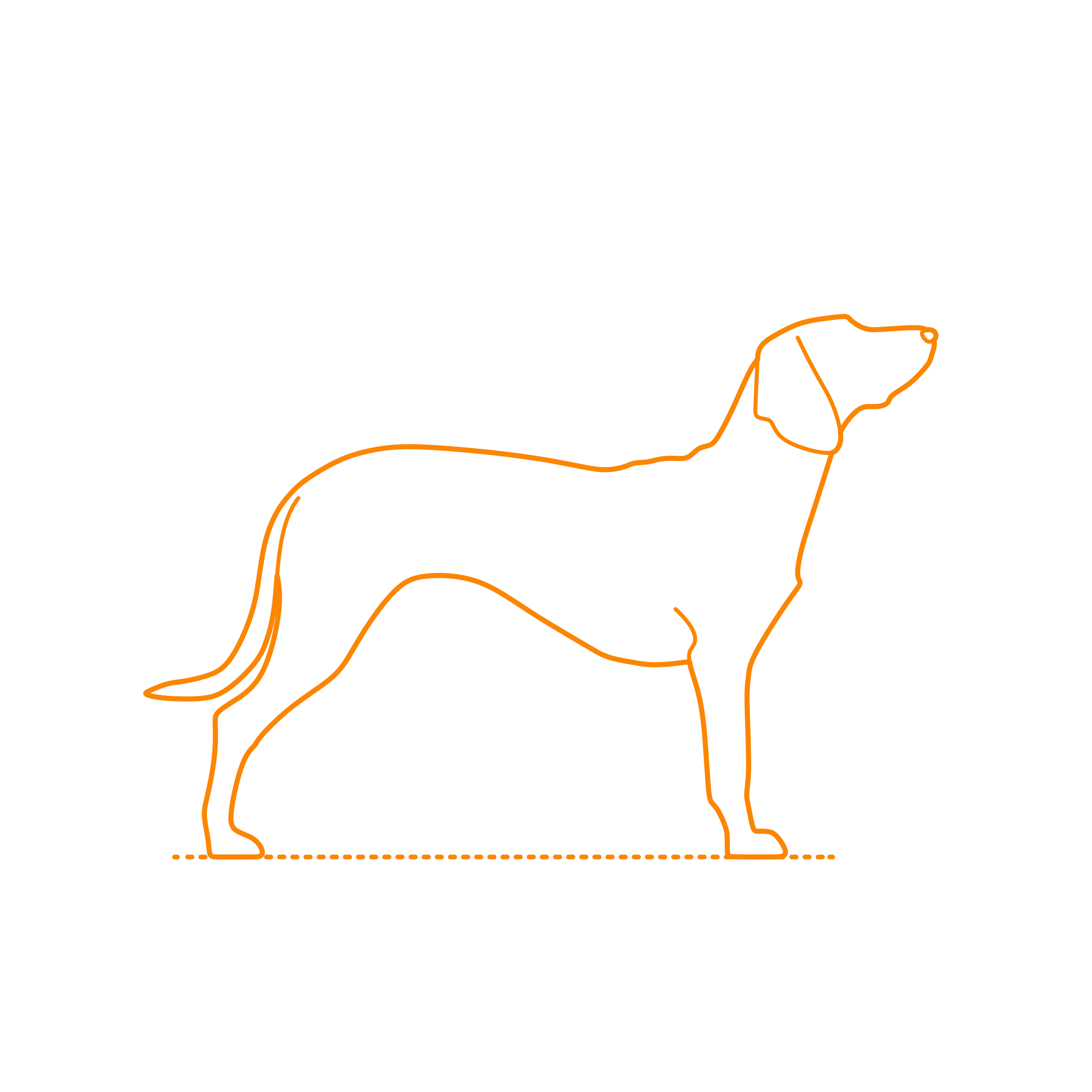 Animals Dogs Bavarian Mountain Scent Hound Outline Icon Svg Set Free Vectors